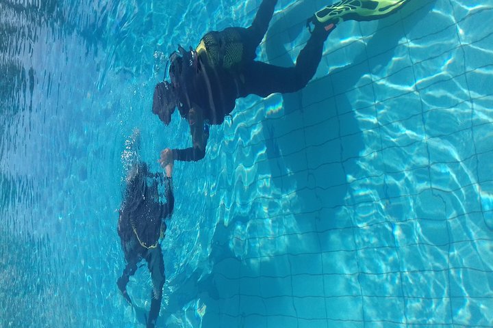 Scuba Diving Courses or Try Diving PADI or SSI - Image 2