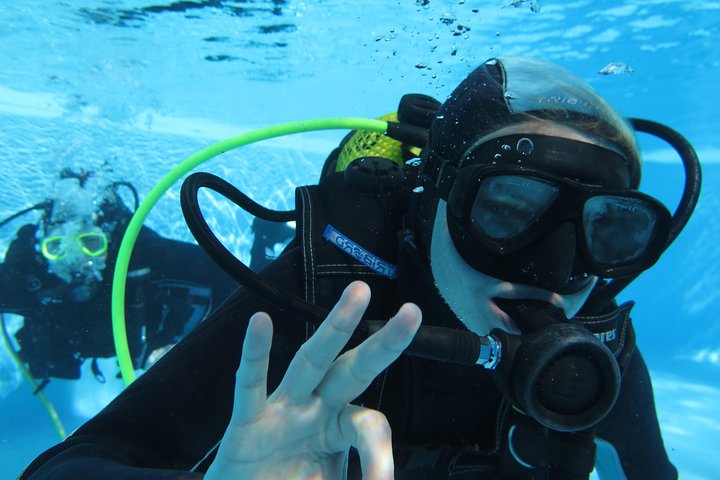 Scuba Diving Courses or Try Diving PADI or SSI - Image 3