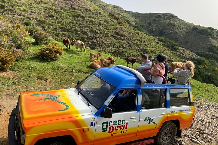 Shore Excursion Porto Moniz - Enchanted Terraces 4x4 tour - Image 1