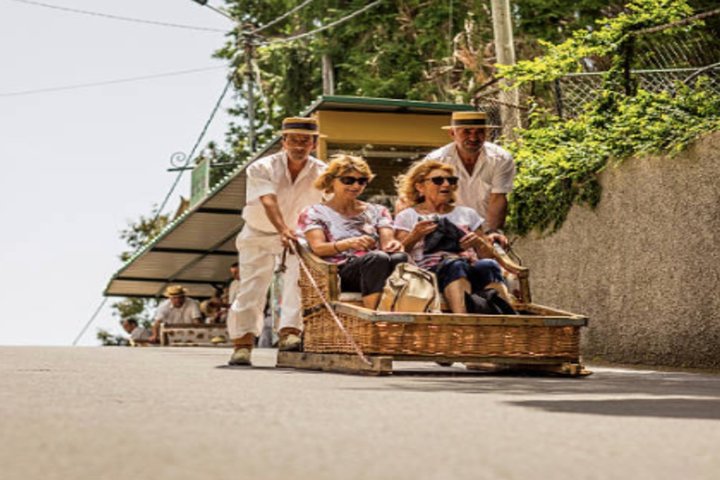 Shore Excursion: Private Madeira Tour & Wine Tasting - Image 1