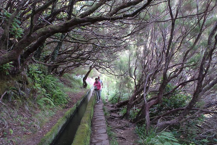 Skywalk & Rabacal "25 Fountains Levada Walk" in 4X4 Full Day Tour - Image 4