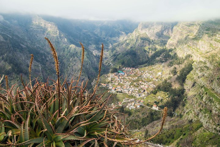 Small Group Madeira Half Day Tour from Funchal - Image 2