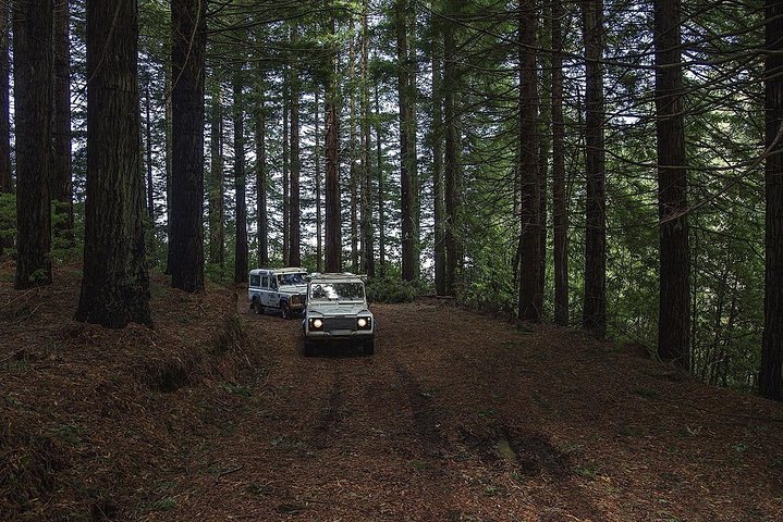 The Enchanting North – Jeep Safari Tour - Full Day - Image 4