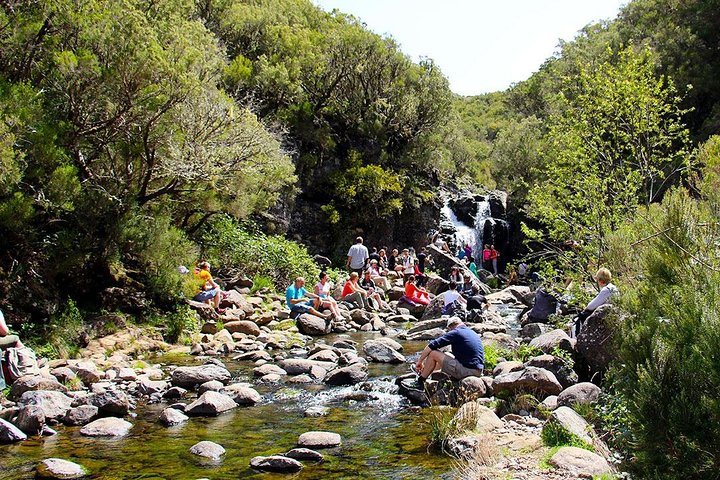 Unique Madeira Lakes Walk - Image 2