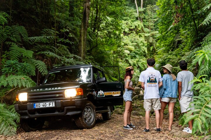 Unveil West Madeira: 4x4 Cliffs, Pools & Views - Image 5