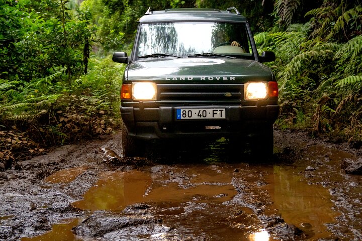 Unveil West Madeira: 4x4 Cliffs, Pools & Views - Image 4