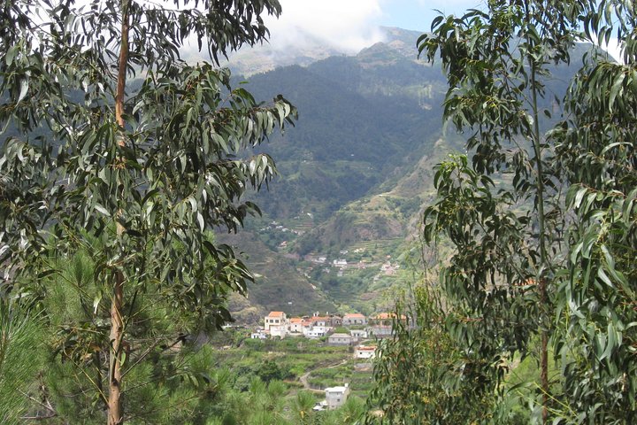 Vale da Serra d'Água (Half Day Walk) - Image 3