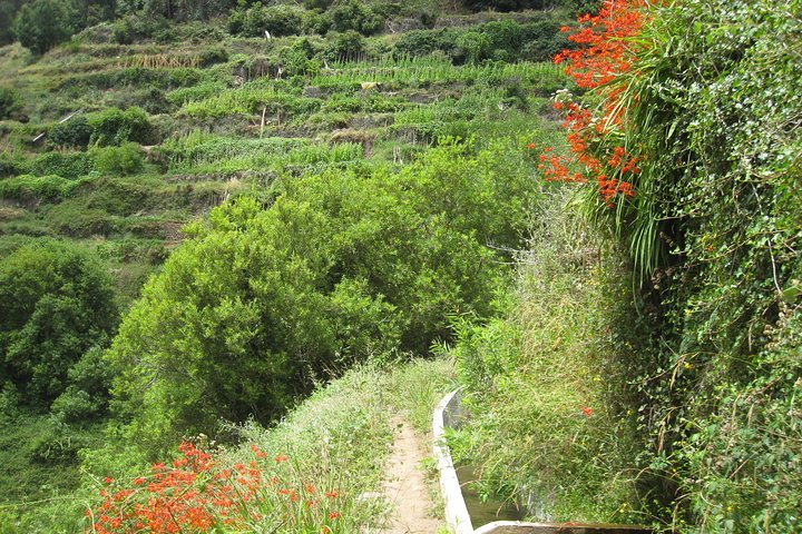 Vale da Serra d'Água (Half Day Walk) - Image 4