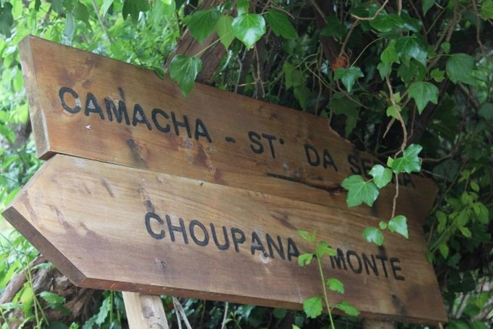 Vale Paraíso - Rochão (Half Day Walk) - Image 3
