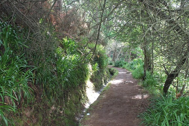 Vale Paraíso - Rochão (Half Day Walk) - Image 2
