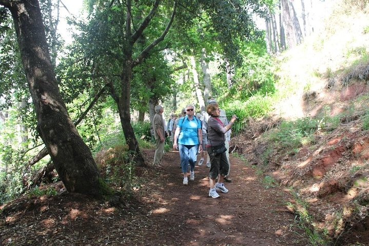 Vale Paraíso - Rochão (Half Day Walk) - Image 1