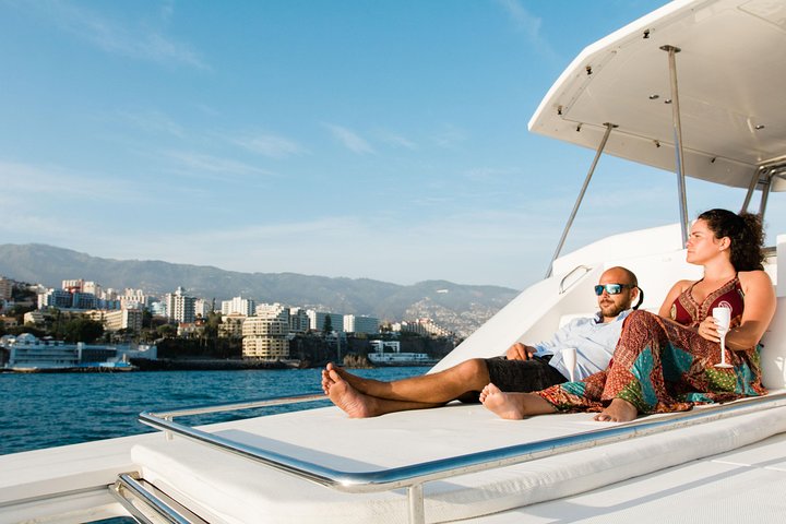VipDolphins Luxury Whale Watching - Image 3