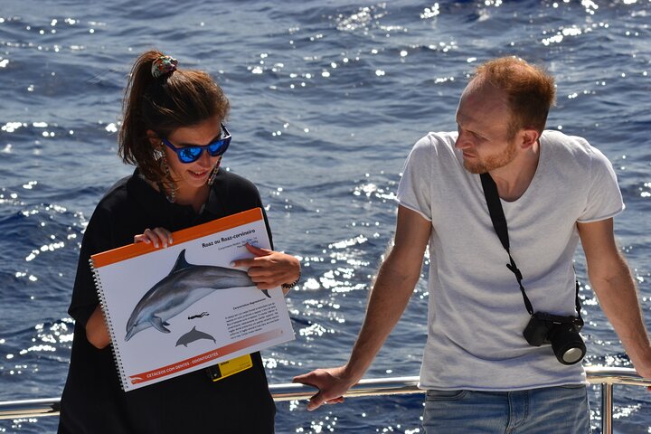 VipDolphins Luxury Whale Watching - Image 5
