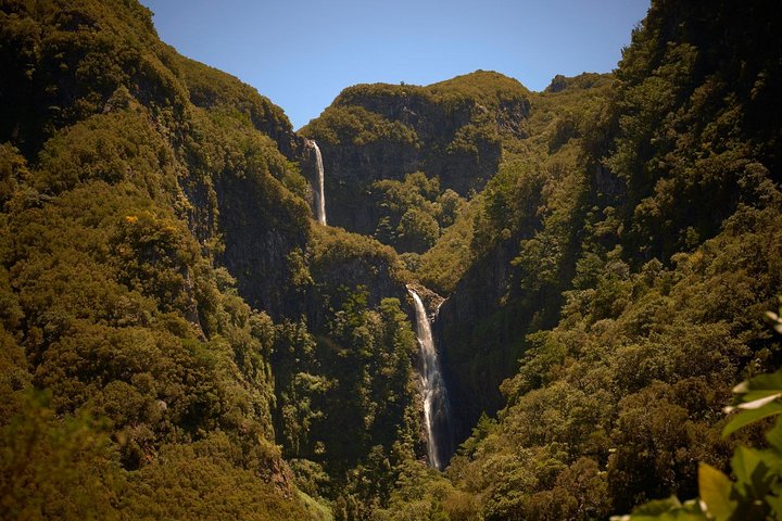Walk 25 Fonts - No words needed - Image 1