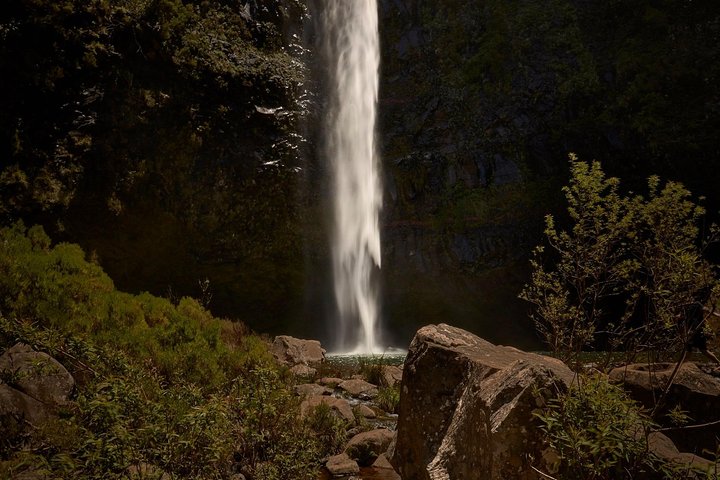 Walk 25 Fonts - No words needed - Image 5