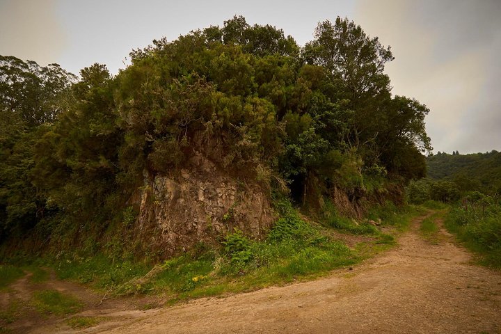 Walk Green Cauldron - Maze Forest - Image 2