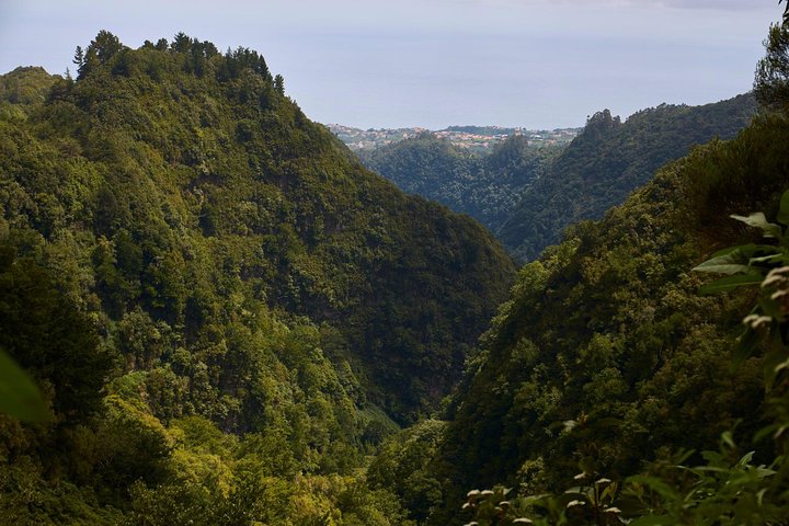 Walk Green Cauldron - Maze Forest - Image 4