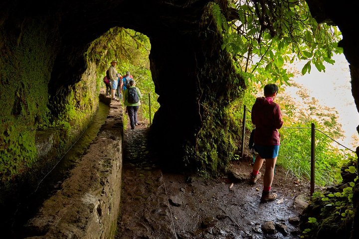 Walk Green Cauldron - Maze Forest - Image 1