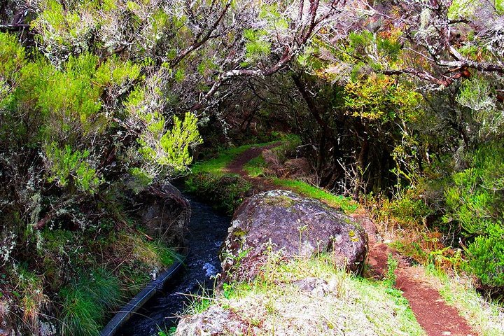 Walk - Madeira lakes - Image 5