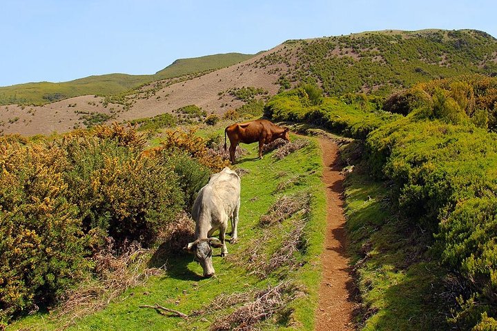 Walk - Madeira lakes - Image 4