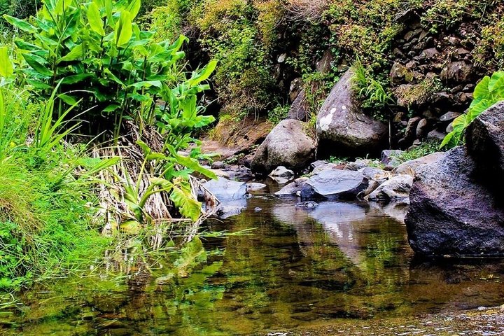 Walk - Maroços & Vale das Mimosas - Image 3