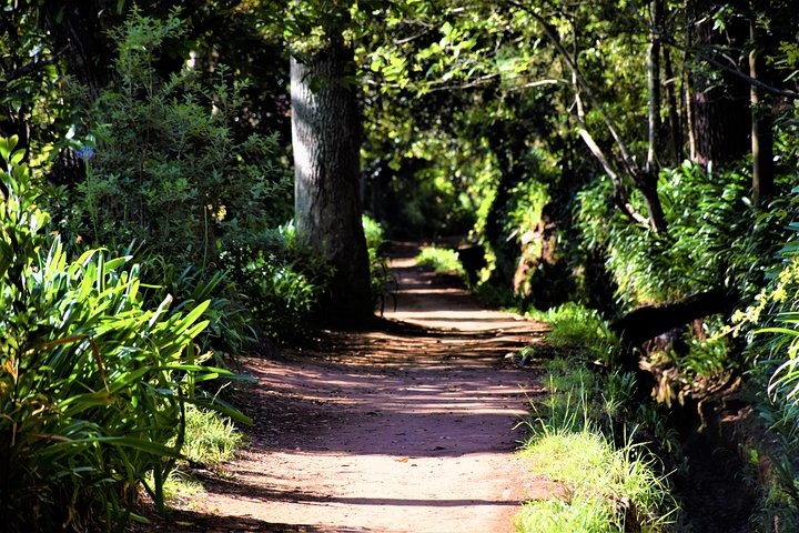 Walk - Paradise Valley - Image 2