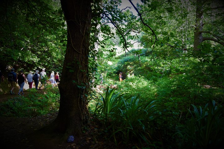 Walk - Paradise Valley - Image 3