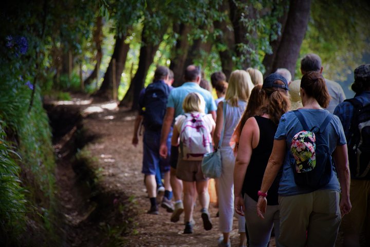 Walk - Paradise Valley - Image 1