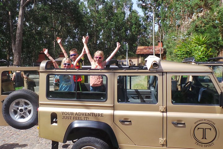 West Full Day: Skywalk, Porto Moniz Lava Pools, Fanal, Paul da Serra & more....  - Image 4