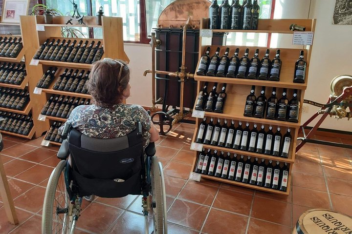 Wheelchair Handicap Cabo Girão Half Day tour - Image 3