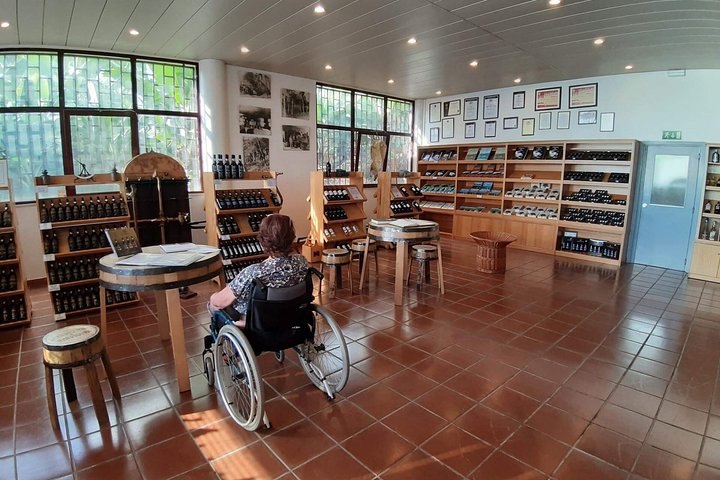 Wheelchair Handicap Cabo Girão Half Day tour - Image 2