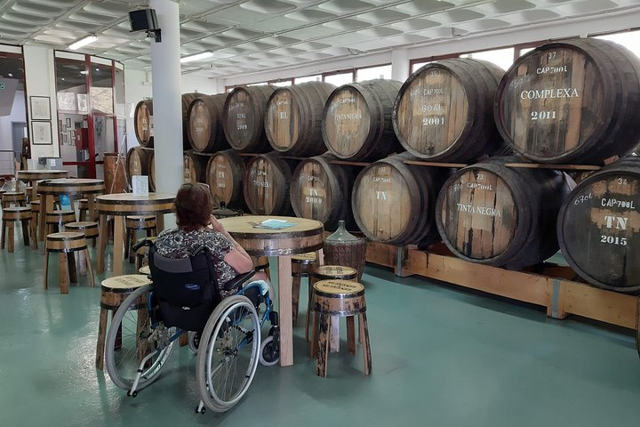 Wheelchair Handicap Disgustation and Museums Private Tour - Image 4