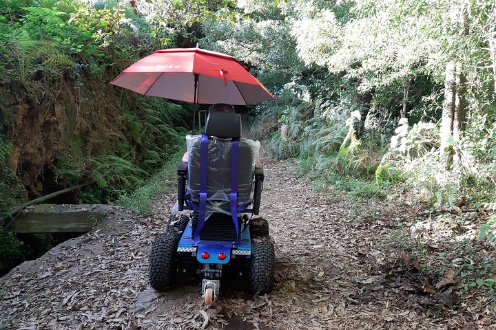  Wheelchair Tour Half Day Caminho Das Queimadas Private Tour  - Image 2