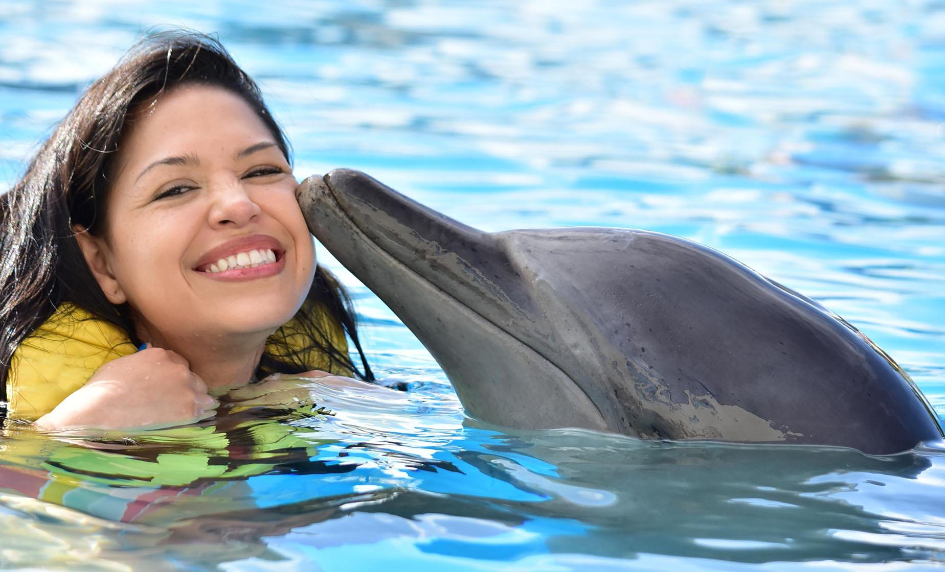 Dolphin Encounter and Turtle Farm - Image 1