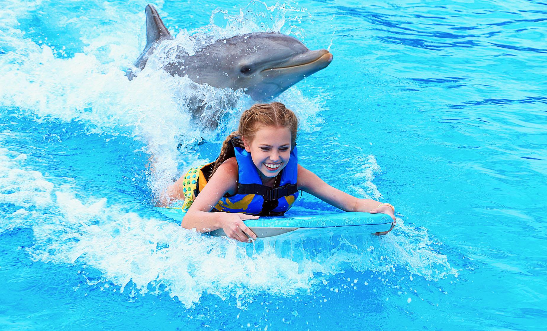 Dolphin Swim Adventure and Turtle Farm - Image 1