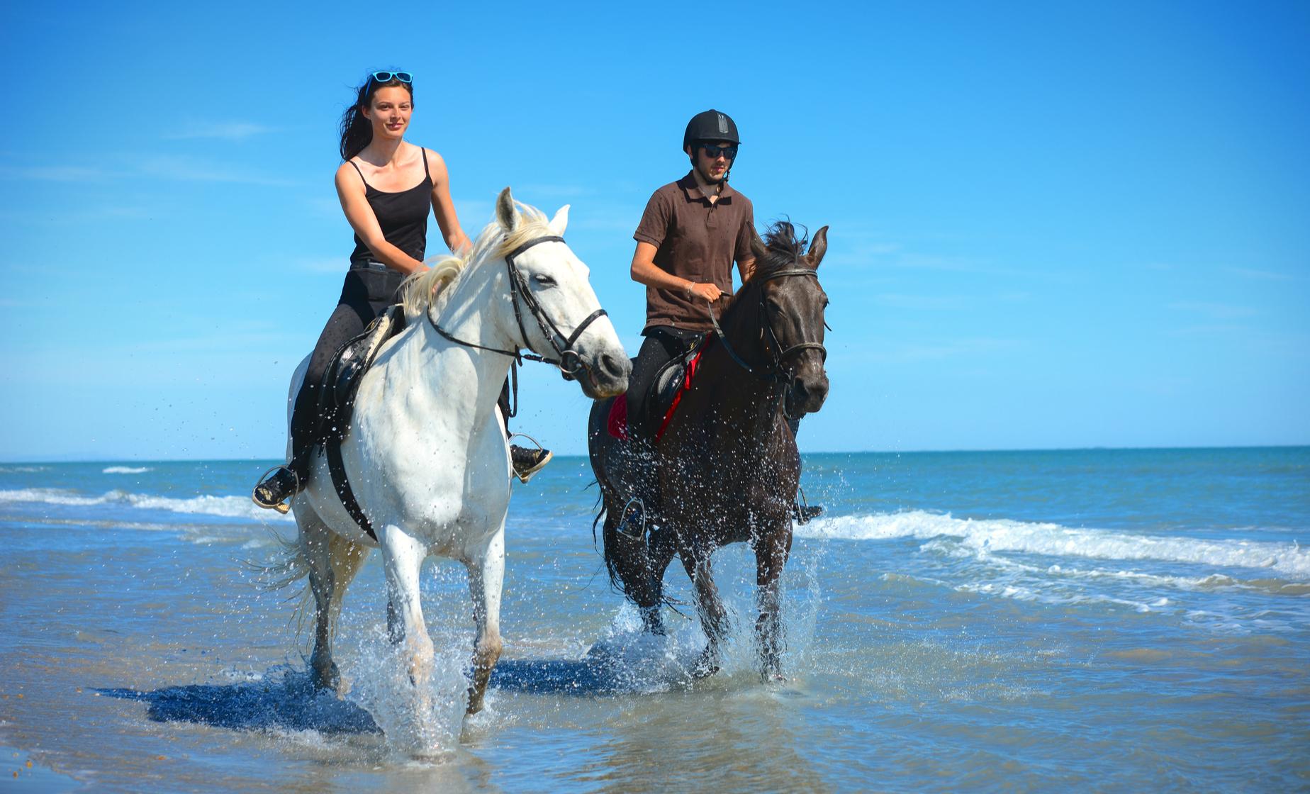 Horseback Ride - Image 1