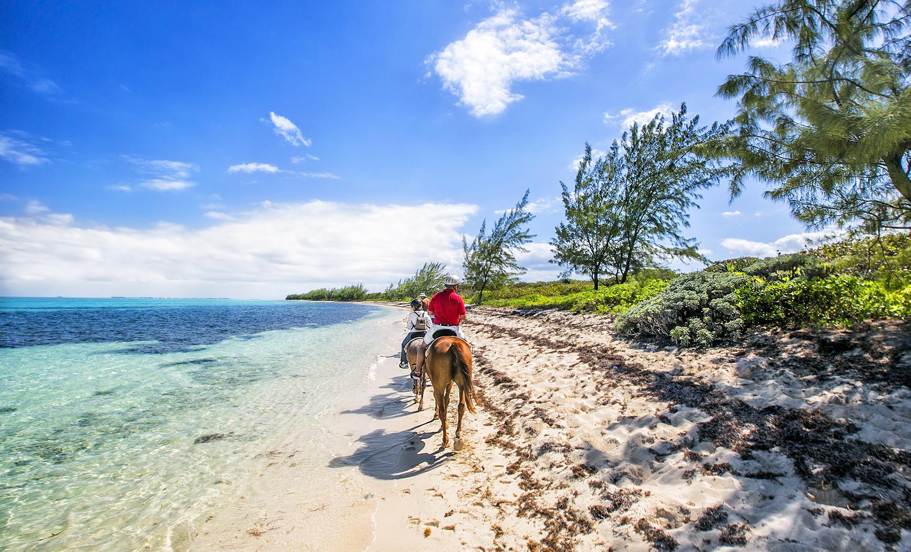 Horseback Ride 'n' Swim - Image 1