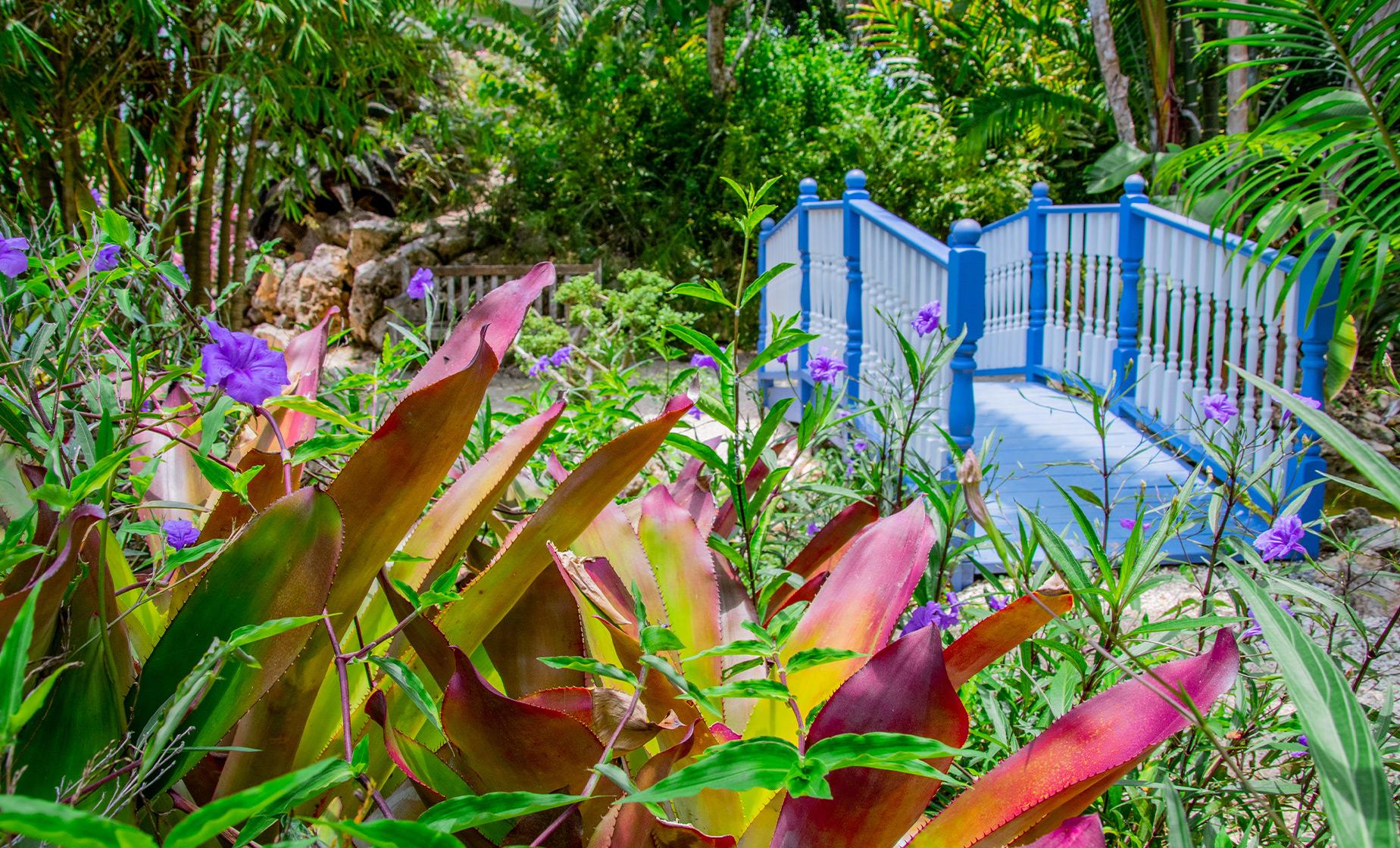 In-Depth Pedro St. James Castle & Botanical Gardens - Image 1