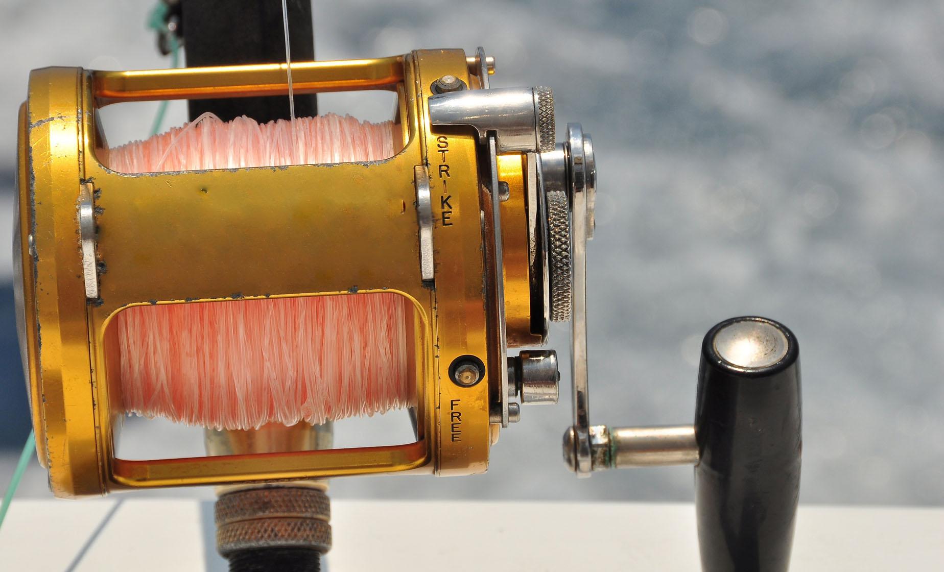 Private Half Day Deep Sea Fishing Charter - Image 1
