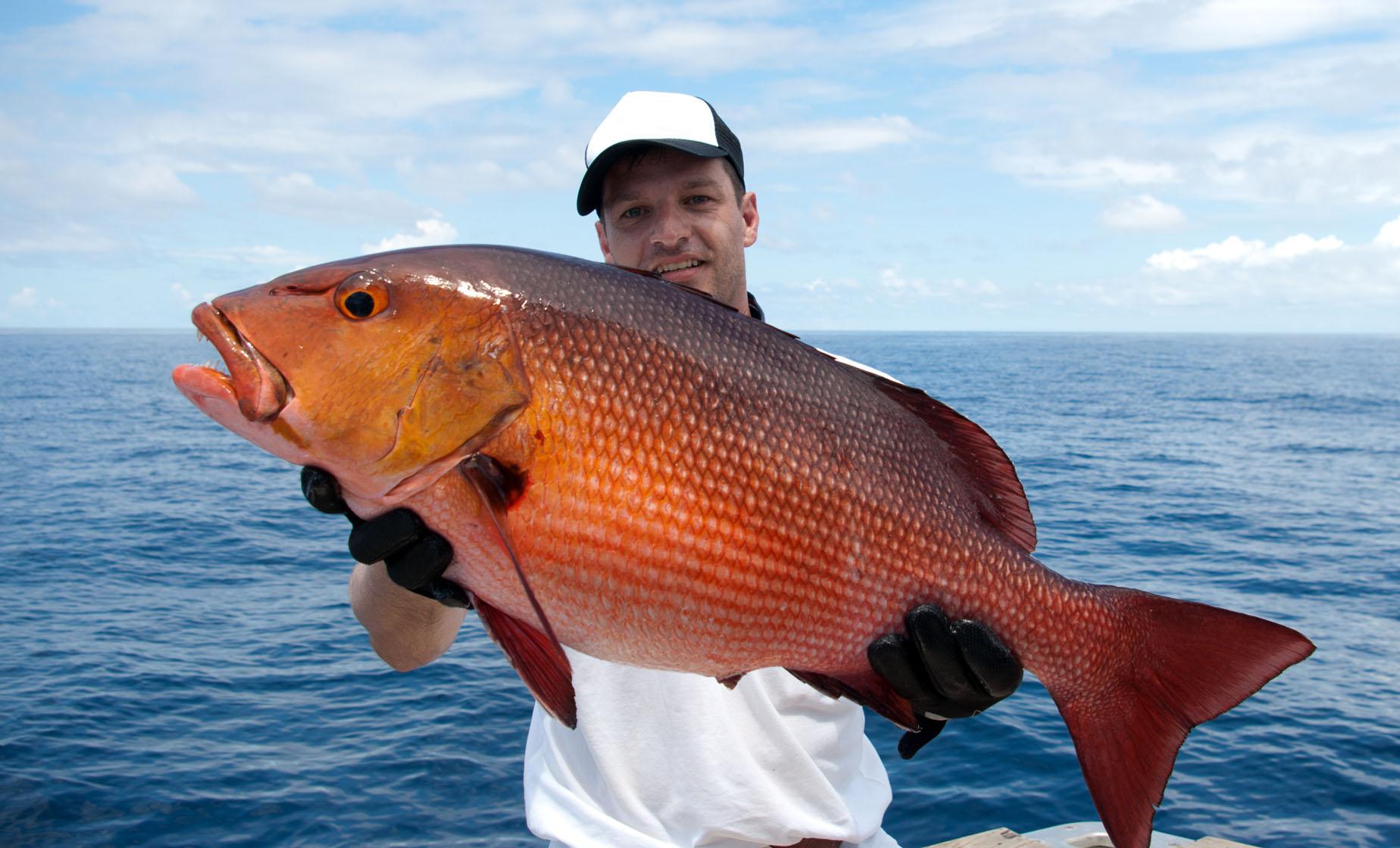 Private Half Day Reef Fishing Charter - Image 1