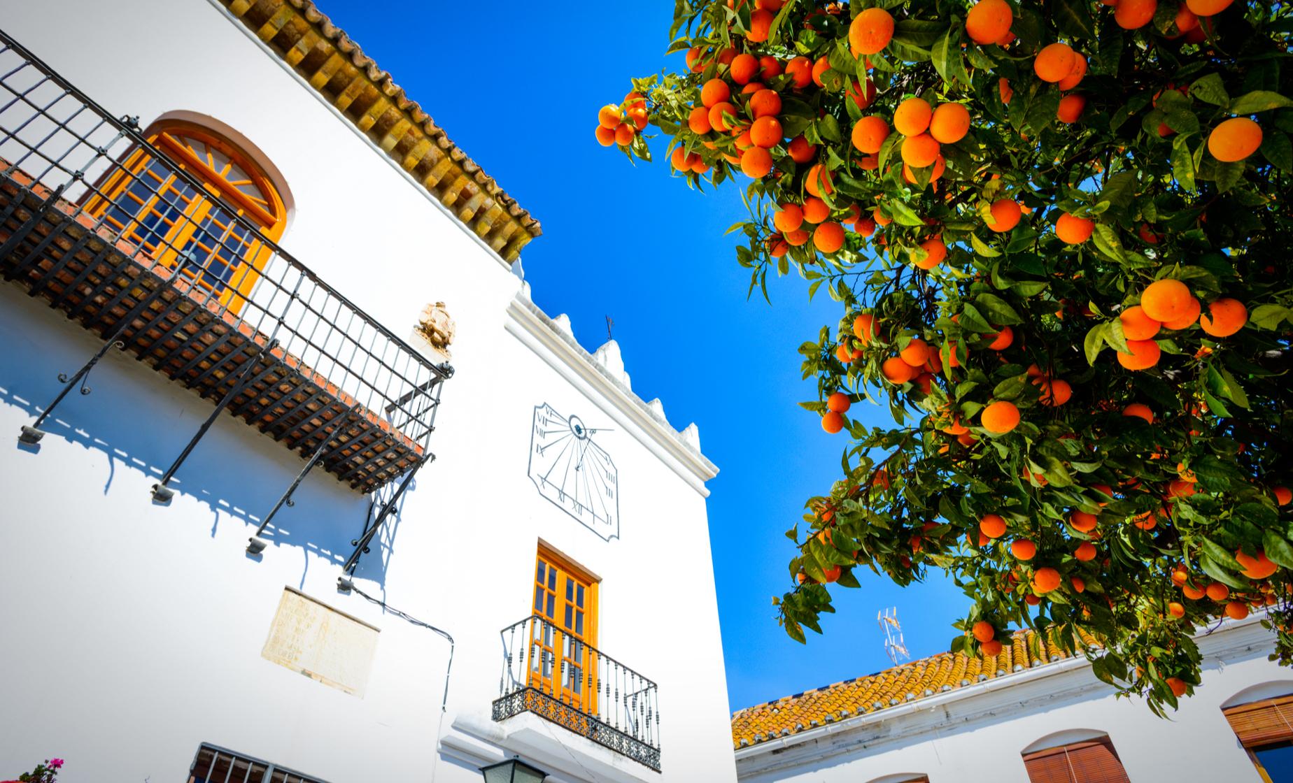 Private Marbella and Puerto Banus - Image 1