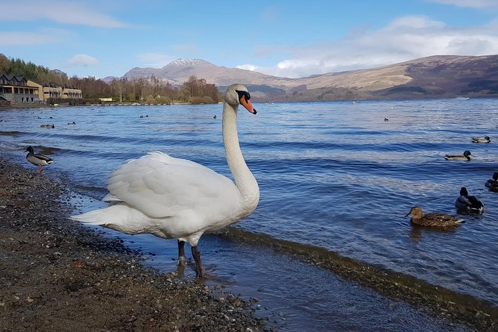 Glorious Scotland Scenic Tour From Glasgow Area - Image 1