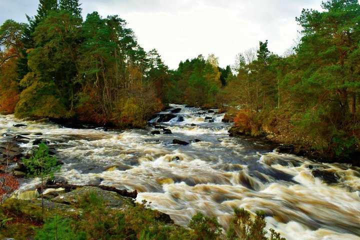 Loch Lomond Luxury Private Day Tour with Scottish Local - Image 5