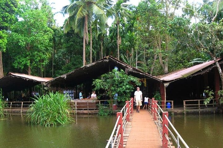 Full-Day Goa Shore Excursion Including Lunch at Spice Plantation - Image 5
