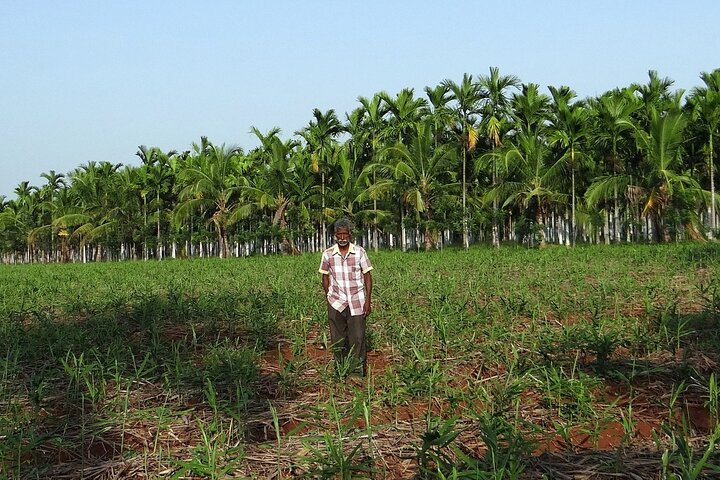 Full-Day Goa Shore Excursion with Lunch at a Spice Plantation - Image 3