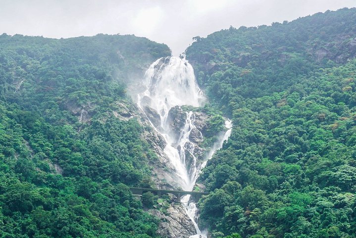 Private Dudhsagar waterfalls & Spice Plantation with Lunch from Mormugao Port - Image 1