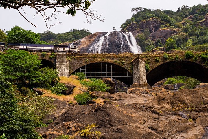 Private Dudhsagar waterfalls & Spice Plantation with Lunch from Mormugao Port - Image 4