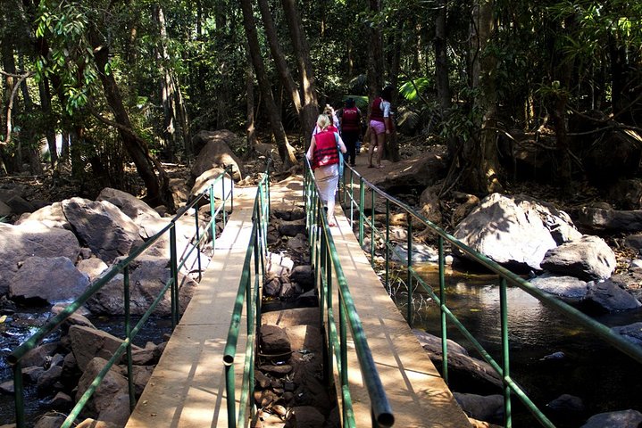 Private Dudhsagar waterfalls & Spice Plantation with Lunch from Mormugao Port - Image 3