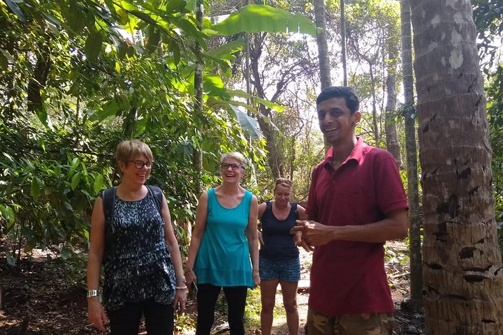 Private Goa tour of ancient rock art, laterite cave and bubble lake with lunch - Image 2