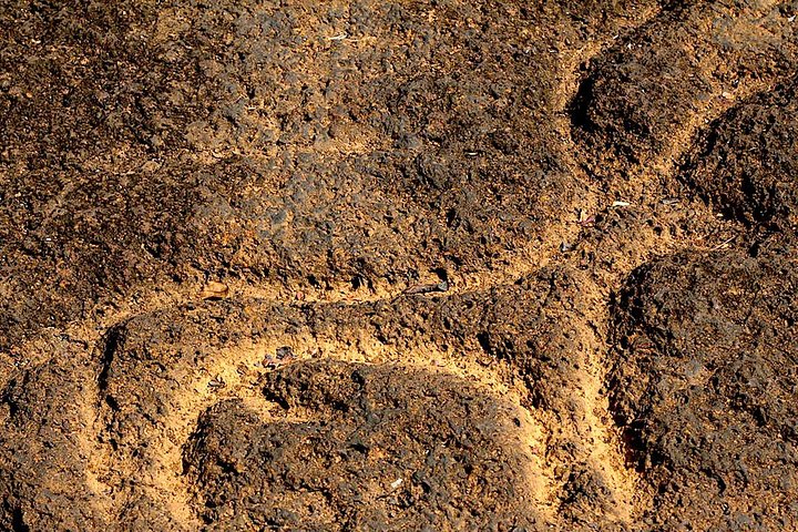 Private Goa tour of ancient rock art, laterite cave and bubble lake with lunch - Image 1